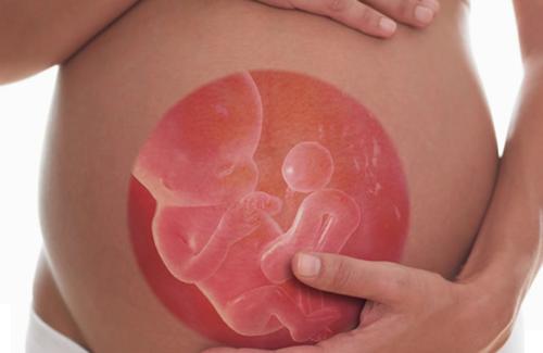 Những bài học đầu đời của thai nhi từ trong bụng mẹ