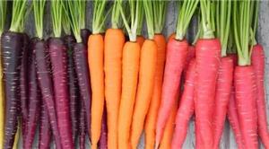 Cà rốt tím - siêu thực phẩm với sức khỏe không phải ai cũng biết