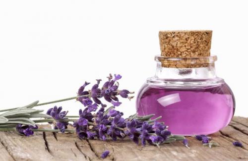 Tinh dầu lavender và những tác dụng của lavender trong chăm sóc sắc đẹp