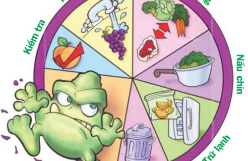 6 nguyên tắc giữ vệ sinh an toàn thực phẩm bạn nên biết
