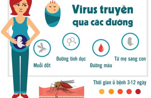 3 con đường lây truyền của virus Zika ai cũng phải biết để phòng tránh