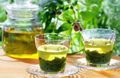 Tinh dầu trà xanh - Tác dụng của tinh dầu trà xanh với sức khỏe và làm đẹp