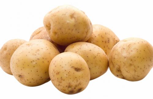 Ngộ độc khoai tây là gì? Nguyên nhân gây ngộ độc khoai tay bạn nên biết