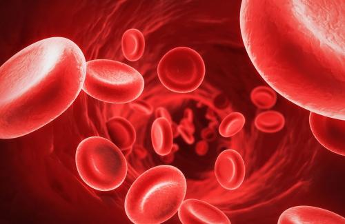 Chế phẩm máu là gì? Các chế phẩm máu đang được sử dụng