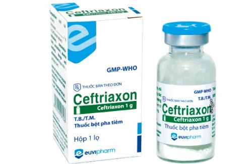 Những thông tin cơ bản về Ceftriaxone (thuốc tiêm)