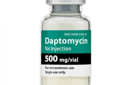 Daptomycin (thuốc tiêm) - tác dụng và một số lưu ý khi sử dụng