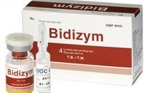 Tác dụng của thuốc Bidizym (thuốc tiêm bột đông khô)