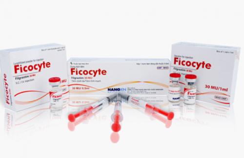 Ficocyte (bột pha tiêm) - tác dụng và những lưu ý khi dùng