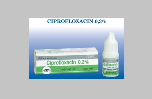 Ciprofloxacin 0,3% (thuốc nhỏ mắt/tai - công ty dược phẩm TW VIDIPHA)