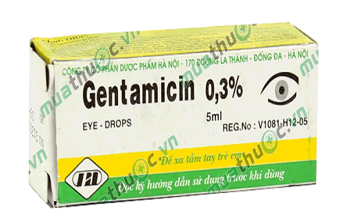 Gentamicin (thuốc nhỏ mắt, DP Hà Nội) và một số thông tin thuốc cơ bản