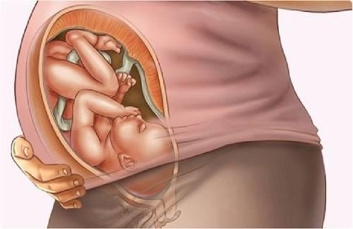 Sự phát triển thai nhi: Thai 36 tuần nặng bao nhiêu kg?