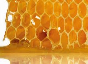 Làm sao để chữa đau dạ dày bằng keo ong hiệu quả nhất?