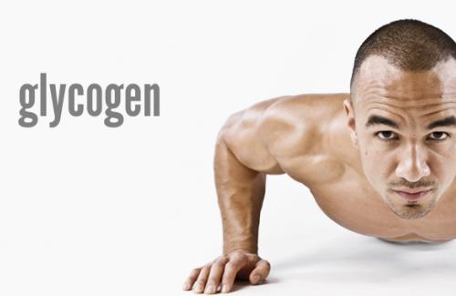 Glycogen là gì? Vai trò của glycogen trong vận động cơ bắp