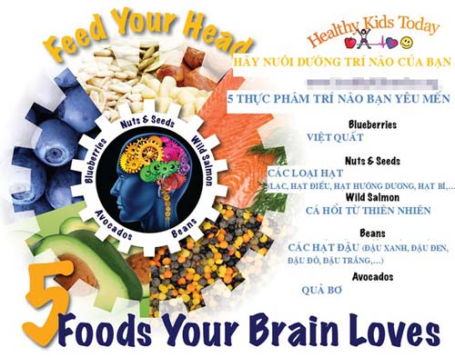 5 thực phẩm tốt cho phát triển trí não bạn không nên bỏ qua