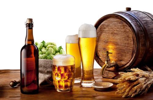 Men bia là gì? Những tác dụng không ngờ của men bia với sức khỏe