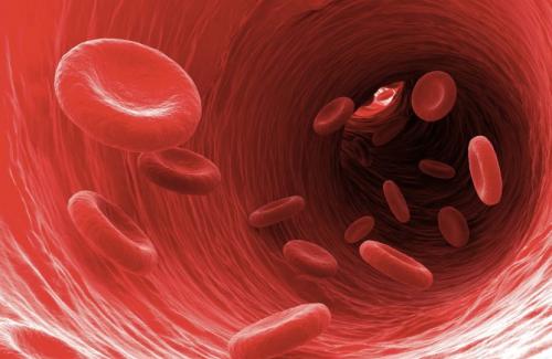 Bệnh máu loãng là gì? Nguyên nhân và điều trị máu loãng bạn nên biết