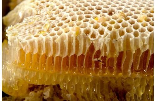 Sáp ong là gì? Thành phần, tác dụng và cách sử dụng sáp ong