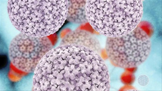 Xét nghiệm HPV sớm để ngăn ngừa ung thư cổ tử cung