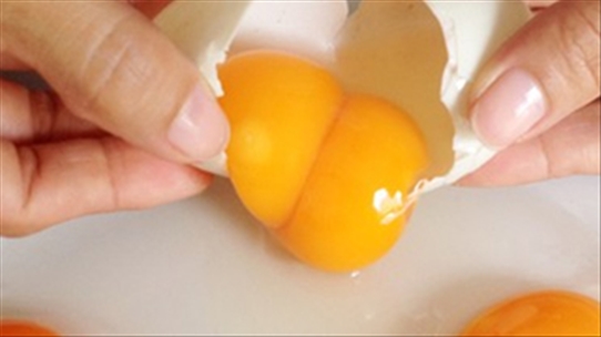 Bất ngờ về giá trị dinh dưỡng  của trứng gà 2 lòng đỏ bạn nên biết