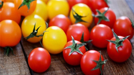 Cà chua đỏ và cà chua vàng rất khác nhau, nên ăn loại nào?