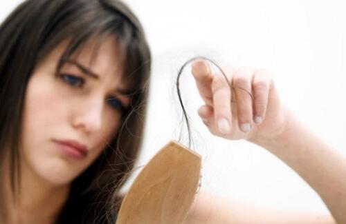 Bài thuốc Đông y trị rụng tóc không phải bạn gái nào cũng biết