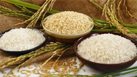 Vì sao chúng ta nên ăn gạo còn cám thay vì gạo trắng?