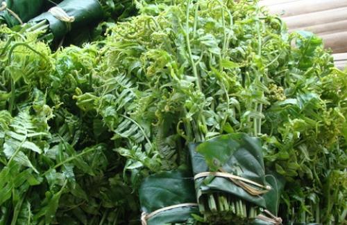 5 loại “rau trường thọ” có đầy ở Việt Nam mà không ai biết