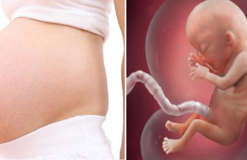 Sau khi ngủ dậy, mẹ nhớ LÀM ĐỦ mấy việc này để BƠM MÁU và dinh dưỡng cho bào thai để con phát triển đúng chuẩn!