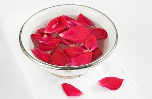 Hoa hồng - Thảo dược tự nhiên giúp bảo vệ sức khỏe và làm đẹp