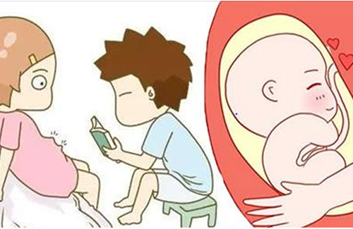 Bốn nguyên tắc của giáo dục thai nhi từ trong bụng, bố làm sẽ tốt hơn mẹ!