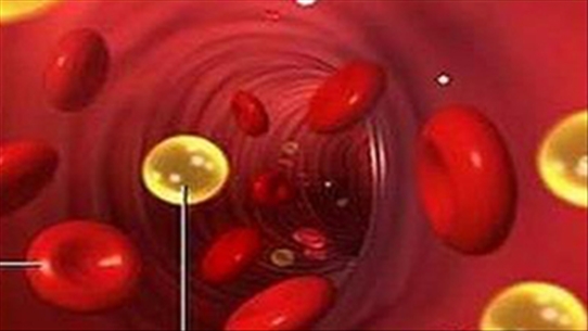Điều trị rối loạn mỡ máu để đưa các thông số lipid về giới hạn bình thường