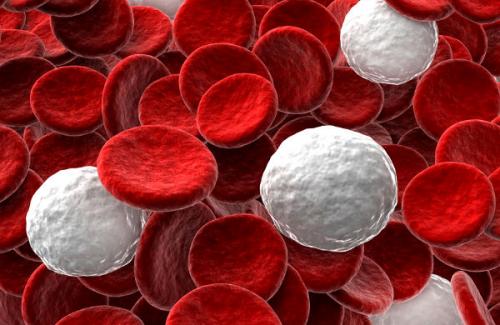 Hemoglobin là gì? Nguyên nhân nồng độ Hemoglobin trong máu thấp