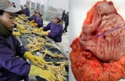 Cảnh báo: 7 thực phẩm Trung Quốc được làm từ nhựa và hóa chất gây ung thư