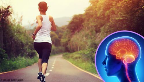 Khi bạn ngừng tập thể dục, não bộ sẽ có thay đổi như thế nào?