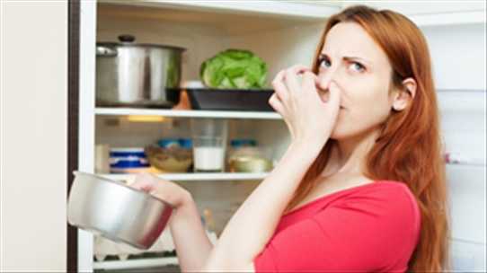 Thực phẩm để tủ lạnh vẫn bị biến chất, chuyên gia hướng dẫn cách bảo quản an toàn