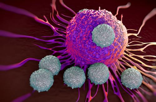 Liệu pháp miễn dịch ung thư là gì? Các  hình thức của liệu pháp miễn dịch