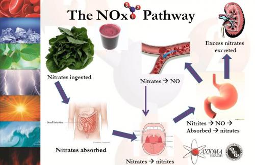 Nitrit là chất gì? Tác hại nghiệm trọng của nitrit với sức khỏe con người