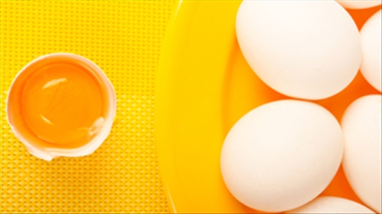 Trả lời sai 10 câu hỏi này chứng tỏ bạn ăn trứng chưa đúng cách