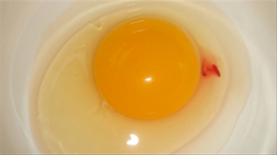 Trứng đập ra có vệt đỏ thế này có ăn được hay không?