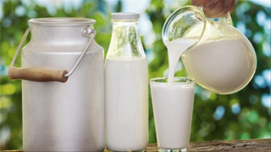 Cách dùng và bảo quản sữa tươi mà không phải ai cũng biết