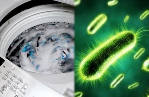 Phát hiện hàng loạt căn bệnh KHỦNG KHIẾP được lây truyền từ chính chiếc máy giặt