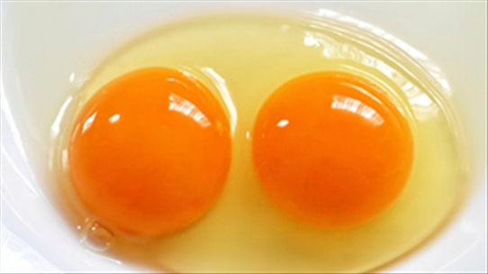 Trứng gà hai lòng đỏ giá trị dinh dưỡng cao trứng gà bình thường