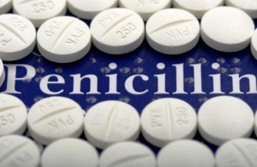 Penicillin là thuốc gì? Tác dụng và những phản ứng có thể xảy ra