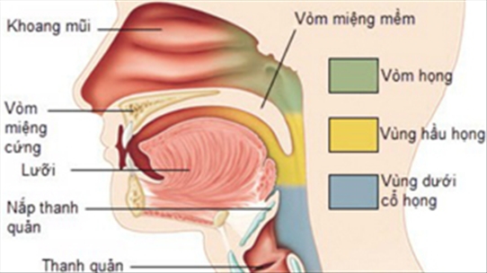 Dấu hiệu phát hiện sớm ung thư vòm họng nên đặc biệt chú ý