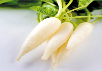 Tác dụng của củ cải trắng đối với sức khỏe có thể bạn chưa biết