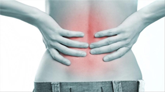 Mát-xa có thể giúp giảm đau lưng mạn tính đến không ngờ