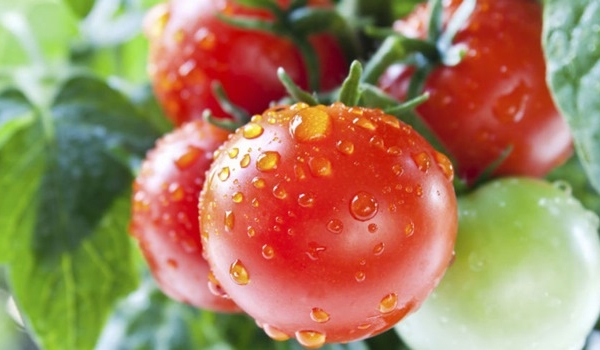 6 cách ăn cà chua có hại cho sức khỏe bạn cần tránh