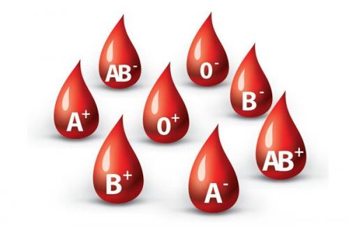 Nhóm máu A - Những lưu ý về sức khỏe với người thuộc nhóm máu A