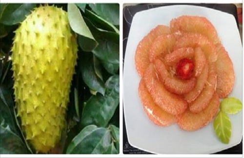 Chuyên gia dinh dưỡng tiết lộ 5 loại trái cây đặc biệt CẦN PHẢI ĂN vào dịp tết để may mắn và không ốm đau bệnh tật