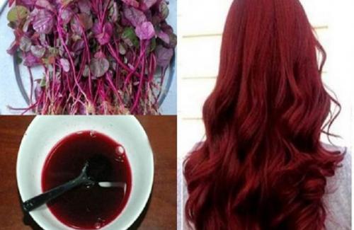 Vò mớ rau NÀY đun làm NƯỚC GỘI ĐẦU, giúp tóc hóa nâu đỏ đẹp y chang salon mà không lo hóa chất